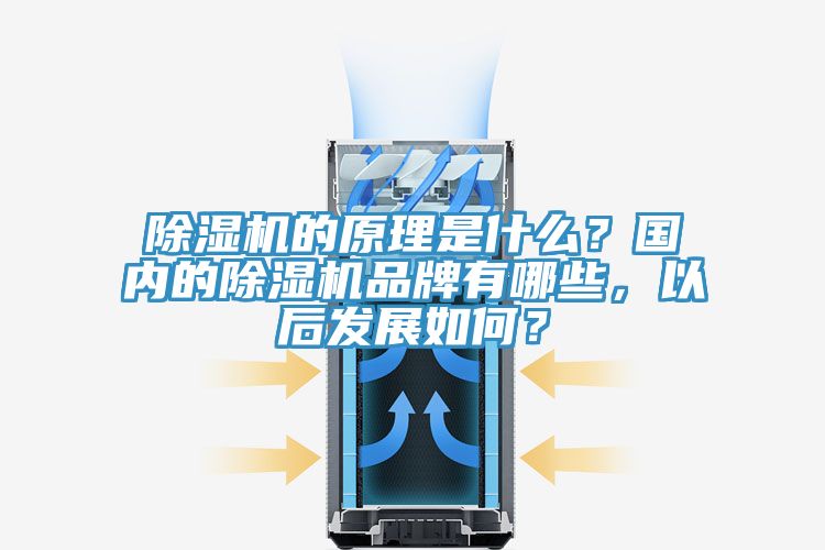 除濕機(jī)的原理是什么？國(guó)內(nèi)的除濕機(jī)品牌有哪些，以后發(fā)展如何？