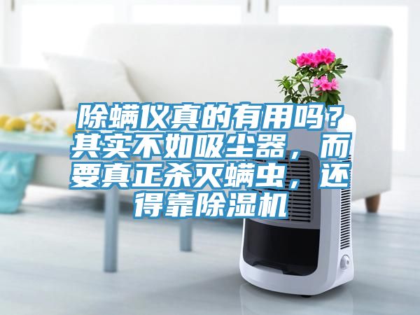 除螨儀真的有用嗎？其實(shí)不如吸塵器，而要真正殺滅螨蟲，還得靠除濕機(jī)