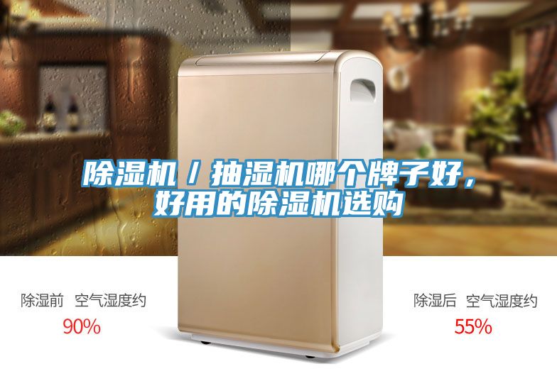 除濕機(jī)／抽濕機(jī)哪個(gè)牌子好，好用的除濕機(jī)選購(gòu)
