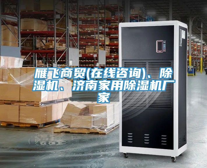 雁飛商貿(mào)(在線咨詢)、除濕機(jī)、濟(jì)南家用除濕機(jī)廠家