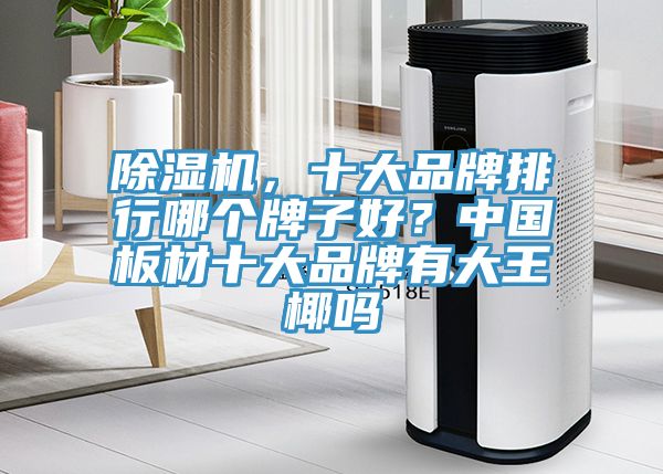 除濕機，十大品牌排行哪個牌子好？中國板材十大品牌有大王椰嗎