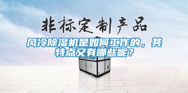 風(fēng)冷除濕機(jī)是如何工作的，其特點又有哪些呢？