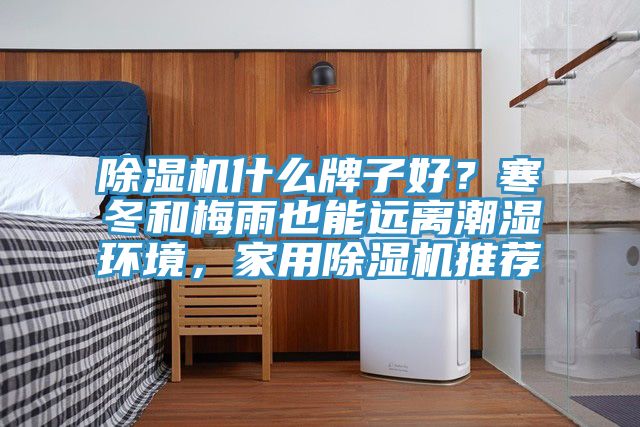 除濕機什么牌子好？寒冬和梅雨也能遠離潮濕環(huán)境，家用除濕機推薦