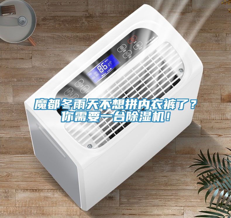 魔都冬雨天不想拼內(nèi)衣褲了？你需要一臺(tái)除濕機(jī)！