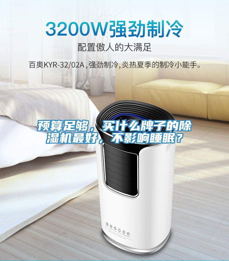 預(yù)算足夠，買什么牌子的除濕機(jī)最好，不影響睡眠？