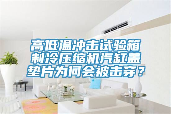 高低溫沖擊試驗箱制冷壓縮機汽缸蓋墊片為何會被擊穿？