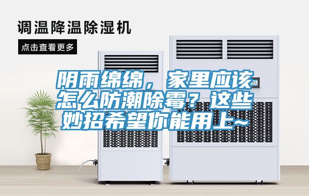 陰雨綿綿，家里應該怎么防潮除霉？這些妙招希望你能用上~
