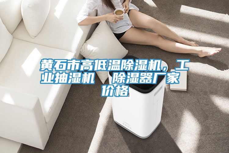黃石市高低溫除濕機(jī)，工業(yè)抽濕機(jī)  除濕器廠家 價(jià)格