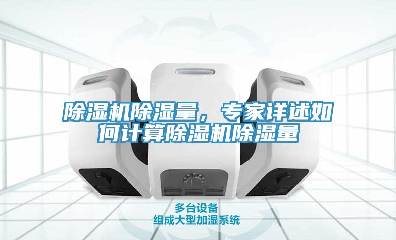 除濕機除濕量，專家詳述如何計算除濕機除濕量