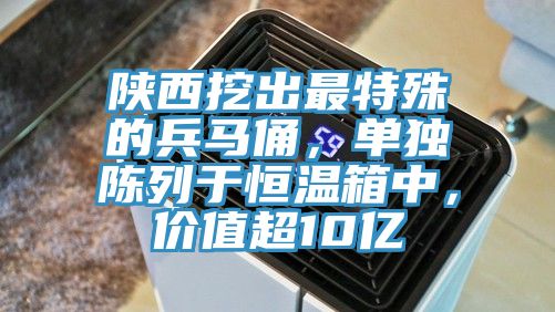 陜西挖出最特殊的兵馬俑，單獨陳列于恒溫箱中，價值超10億