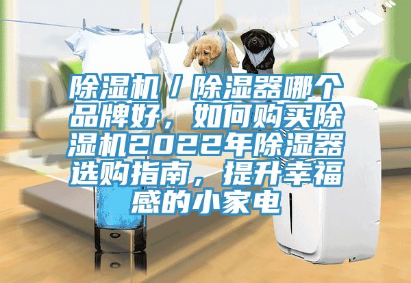除濕機／除濕器哪個品牌好，如何購買除濕機2022年除濕器選購指南，提升幸福感的小家電