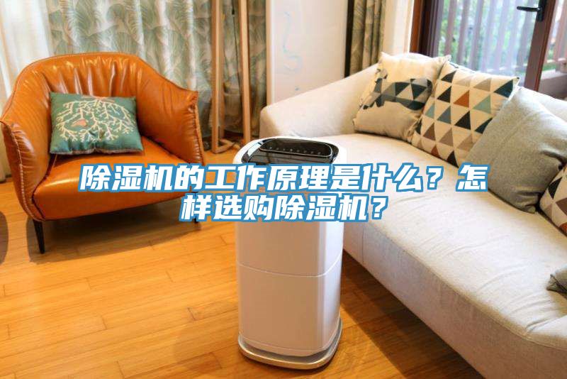 除濕機(jī)的工作原理是什么？怎樣選購(gòu)除濕機(jī)？