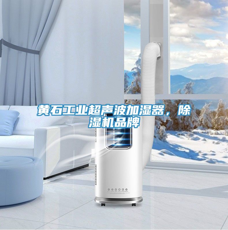 黃石工業(yè)超聲波加濕器，除濕機品牌