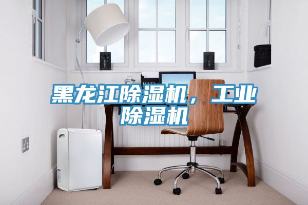 黑龍江除濕機，工業(yè)除濕機